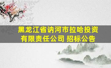 黑龙江省讷河市拉哈投资有限责任公司 招标公告